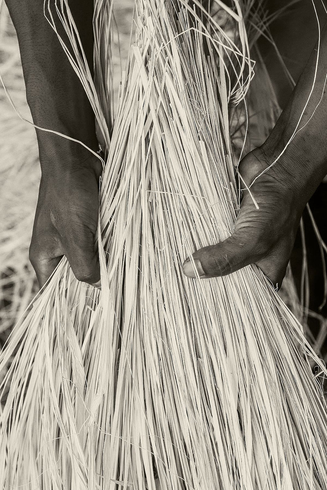 Raffia